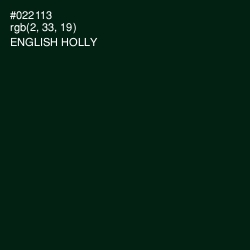 #022113 - English Holly Color Image